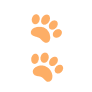 paw-prints